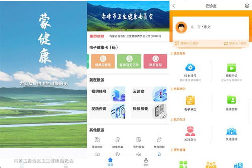 榜樣的力量 內(nèi)蒙古自治區(qū)互聯(lián)網(wǎng)醫(yī)療服務(wù)系統(tǒng)在新冠戰(zhàn)疫中的數(shù)據(jù)驅(qū)動實踐